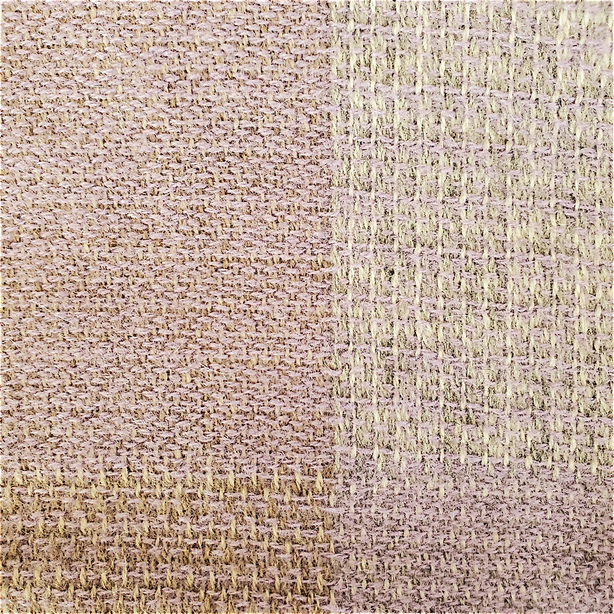 CHELSEY BY JOSEPH Cashmere Scarf