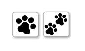 Cruzin Cap - Paws