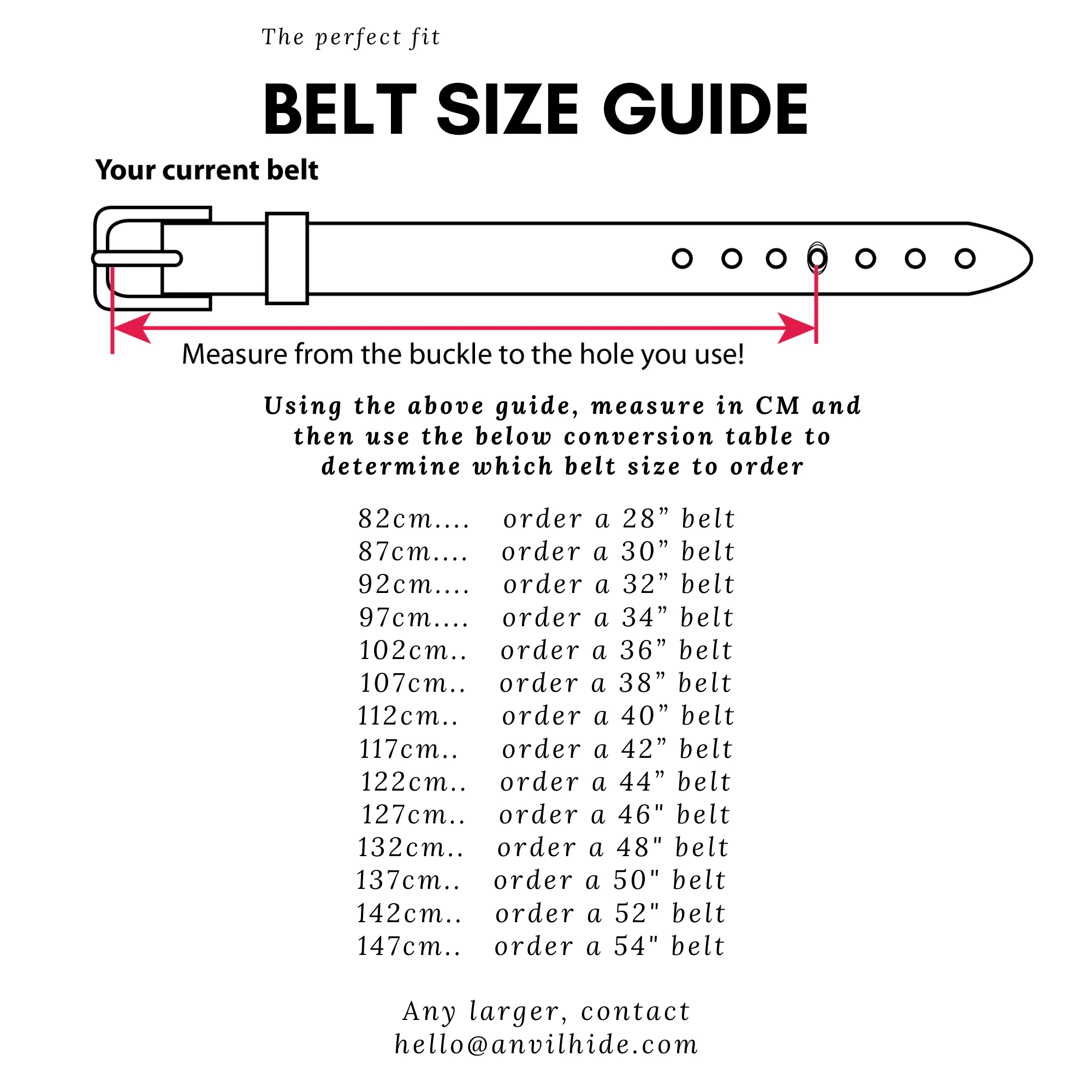 The Everyday Belt